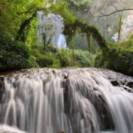 Un oasi català entre Saragossa i Madrid