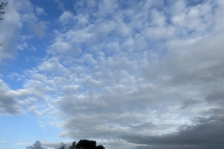 Fotografia: Jean-Marie del Moral.