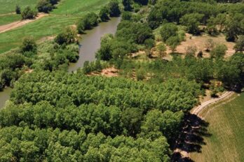 Vista area de la mota de Verges. Fotografia: Ajuntament de Verges.