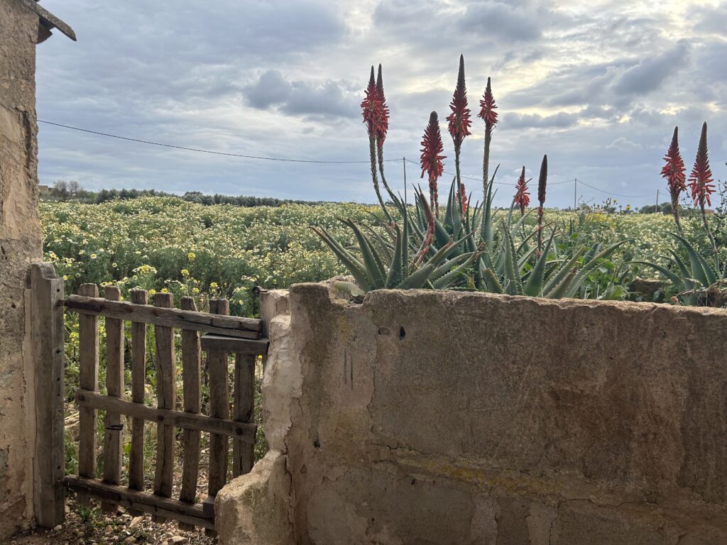 Closcadelletra (DIV): Tots tenim