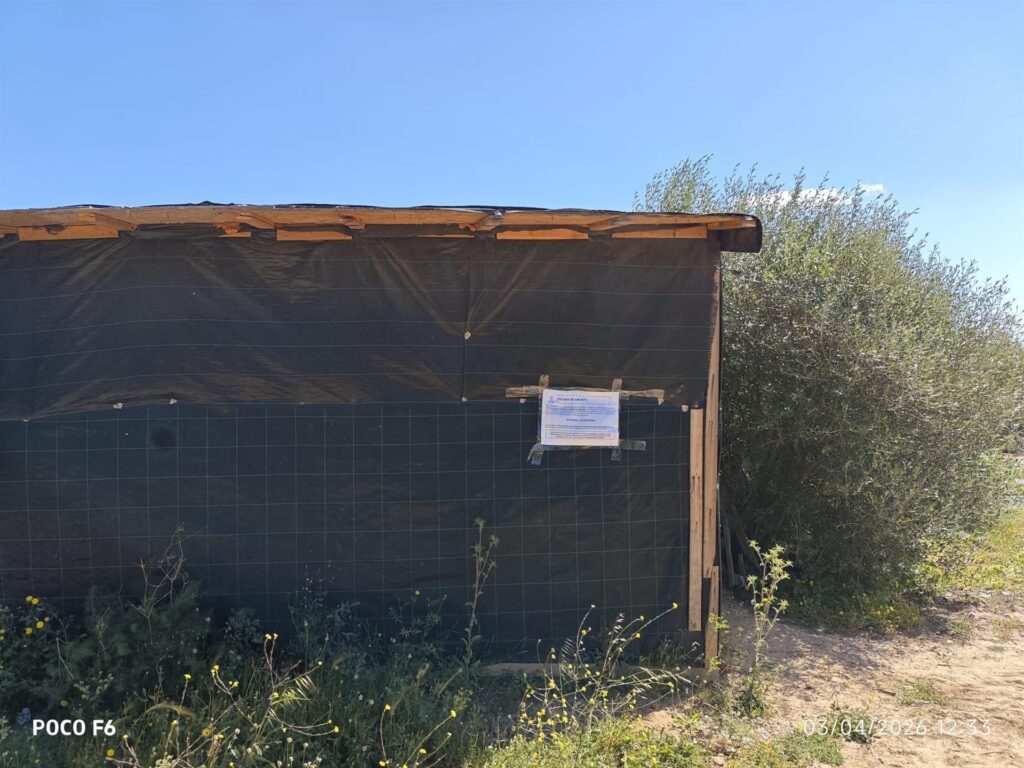 L’Ajuntament d’Eivissa desallotjarà 130 persones de l’assentament de la Joveria el 21 d’abril