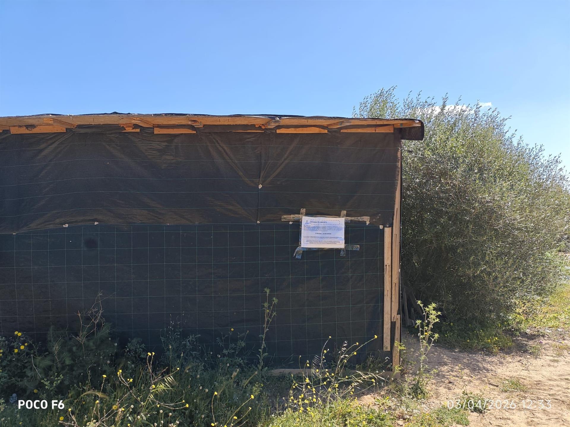 Una de les barraques aixecades a l'assentament de sa Joveria, a Eivissa.