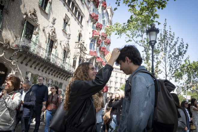 El pol·len, el drac a combatre