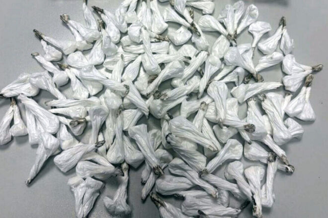 Detenen un home a Vic amb 17 farcellets de cocaïna i el tornen a arrestar 12 dies després amb 125 embolcalls