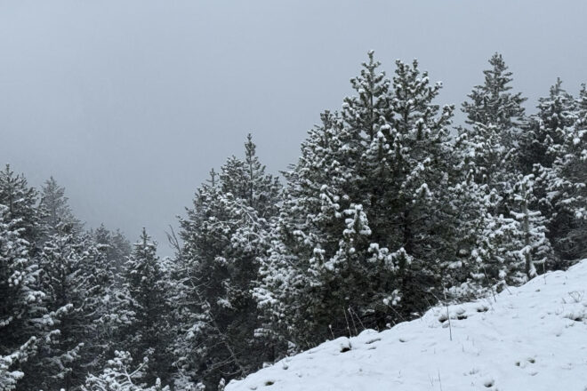 [FOTOGRAFIES] Una nevada i temperatures sota zero sorprenen el Pirineu a mitjan maig
