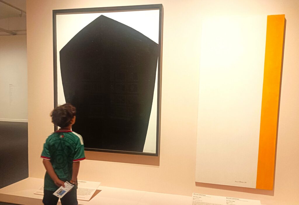 Art hospitalari
