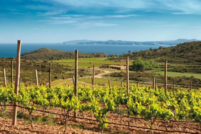 El Festival Terrer Empordà s’endinsa en el paisatge vinícola històric de l’Albera