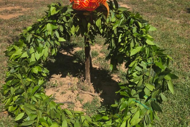 La Nova Muixeranga de Catarroja homenatja les 230 víctimes de la gota freda