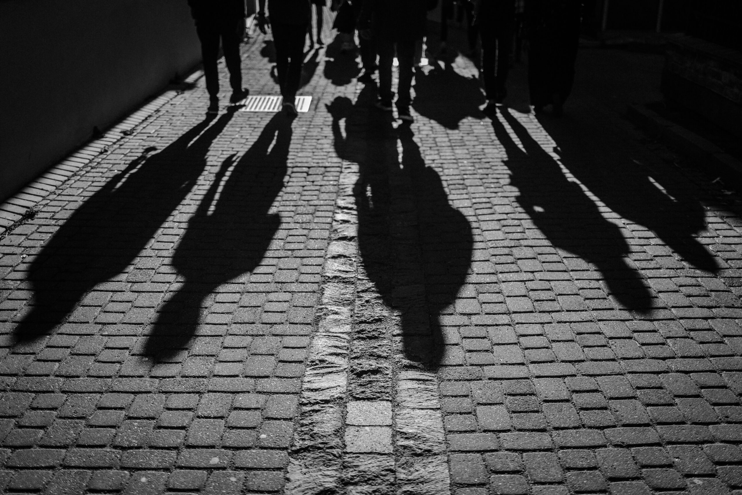 Fotografia: Trnava University / Unsplash.
