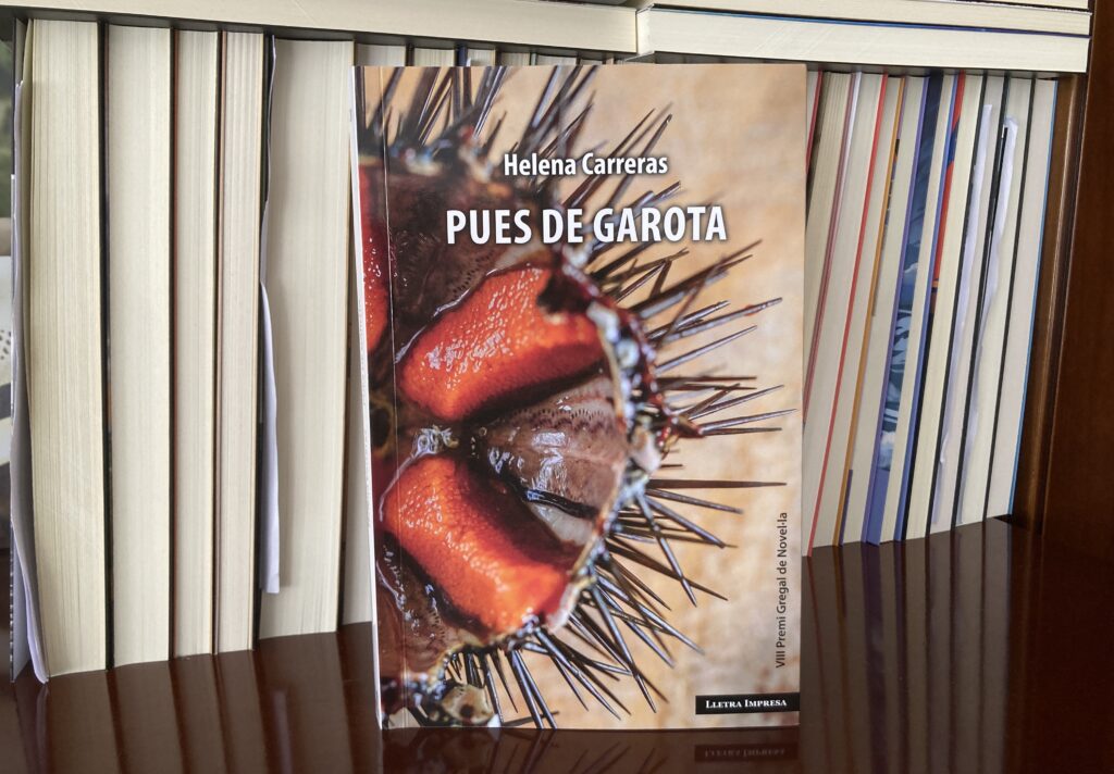 ‘Pues de garota’, la vida privada d’un llibre que punxa