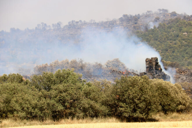 Estabilitzat l’incendi forestal a Sanaüja, a la Segarra