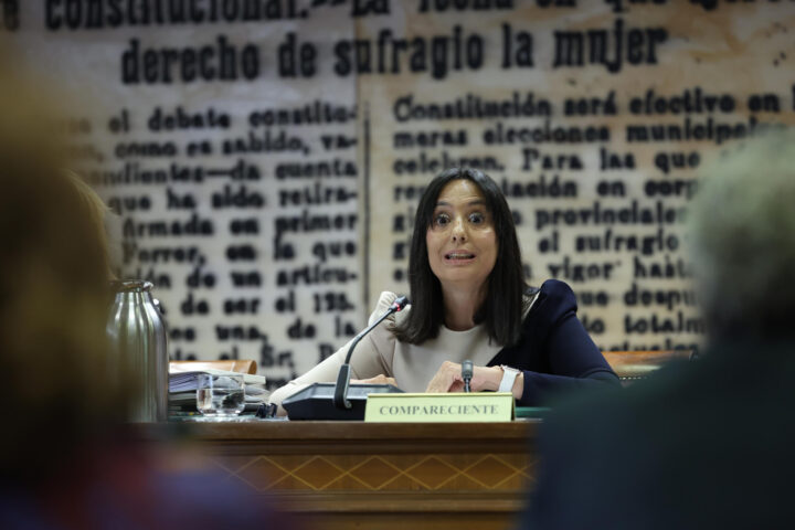 Mercedes González, directora general de la Guàrdia Civil, en un moment de la compareixença al senat espanyol (fotografia: EFE / Kiko Huesca).