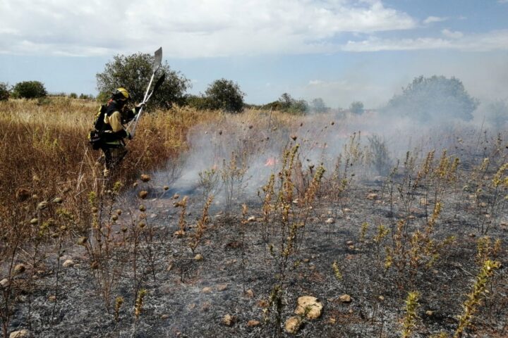 Mitjans aeris i terrestres combaten un incendi agrícola a Santanyí.
