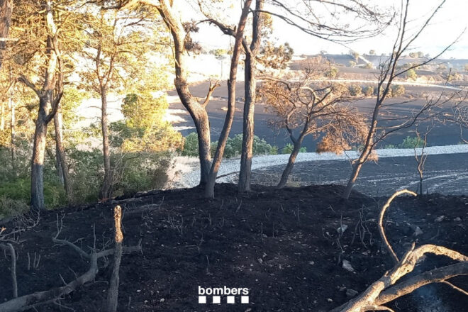 Els bombers confien a controlar l’incendi a la Segarra aquest migdia