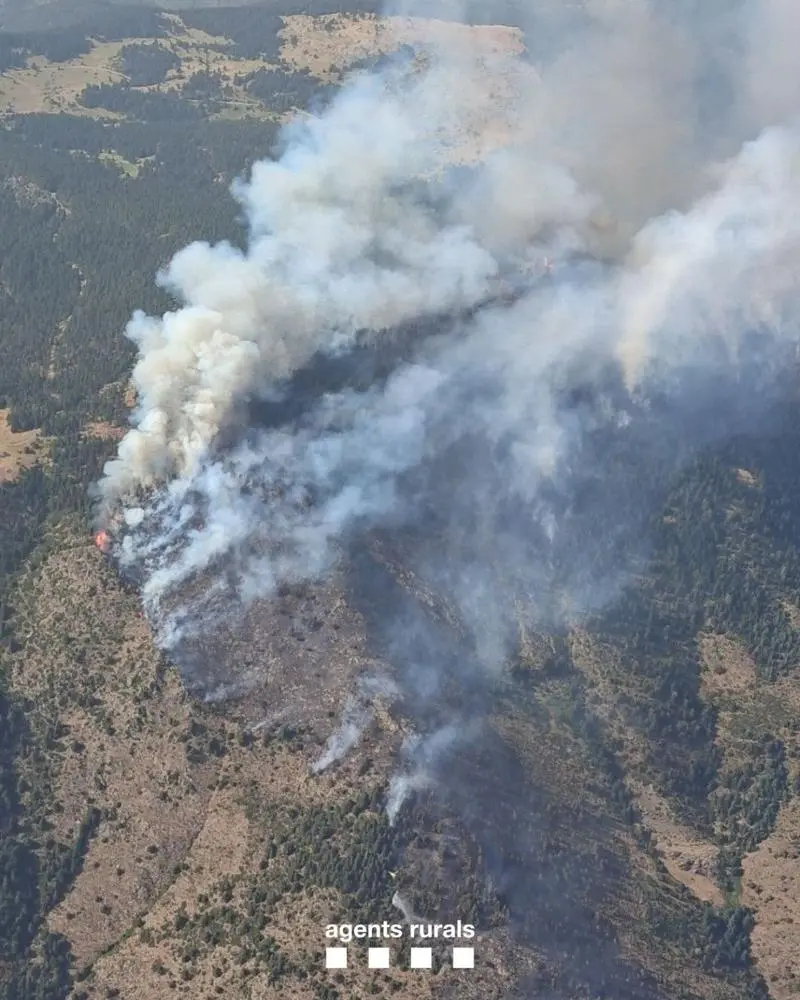 Estabilitzat l’incendi forestal a la serra de Roques Codolles, a Farrera