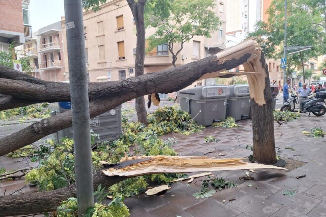 Un esclafit arrasa arbres, fanals, motos i tendals en un tram de 500 metres de l&rsquo;avinguda del Carrilet de l&rsquo;Hospitalet