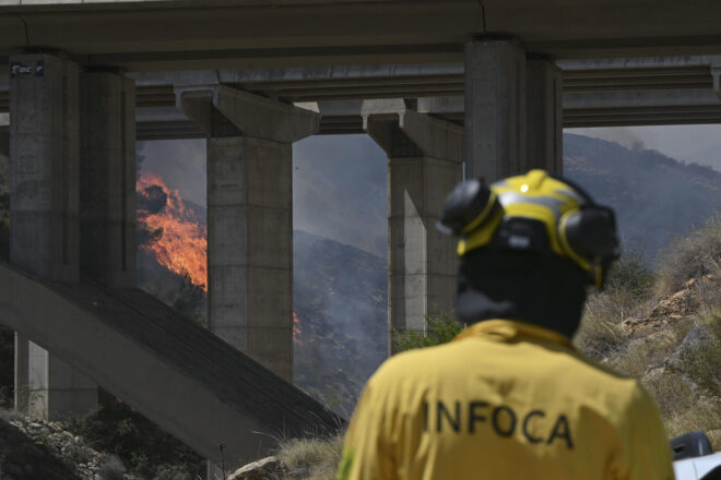 L&rsquo;incendi forestal d&rsquo;Andalusia no ha avan&ccedil;at gens durant el dia i podrien donar-lo per estabilitzat en les pr&ograve;ximes hores