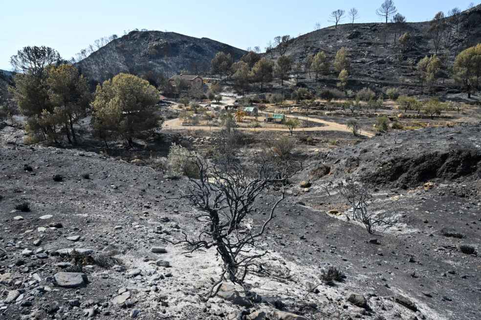 L&rsquo;incendi forestal d&rsquo;Andalusia arriba a cremar m&eacute;s de 6.000 hect&agrave;rees