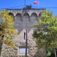 El Montpeller de Jaume I