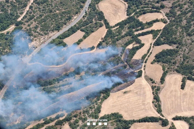 Un incendi a Camarasa ja danya gaireb&eacute; 22 hect&agrave;rees i entra a l&rsquo;espai natural protegit de l&rsquo;Aiguabarreig Segre-Noguera Pallaresa