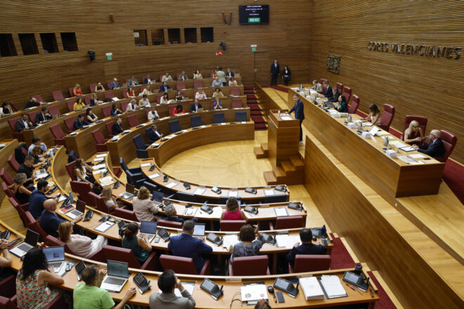 El PSPV porta al TC espanyol el dictamen de la comissió sobre la gota freda