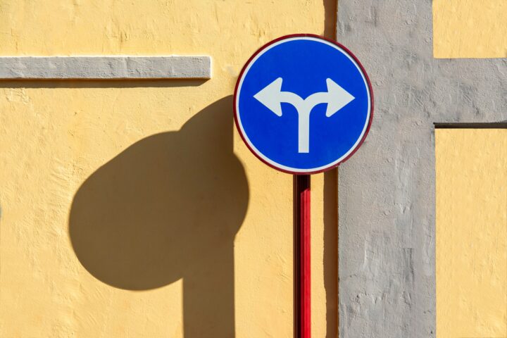 Fotografia: Jan van der Wolf (Pexels).