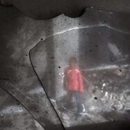 Mirar a Palestina, veure el món