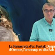 [VÍDEO] La Pissarreta d’en Partal: Després d’Ormuz, l’amenaça es diu Bab el-Màndeb
