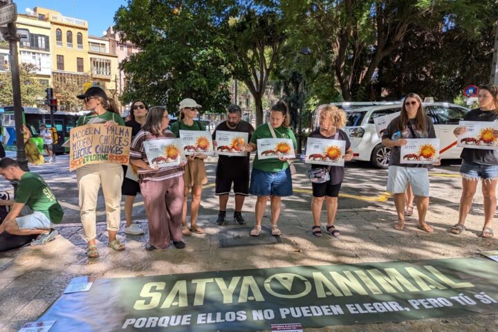 Els animalistes surten als carrers de Palma per segona setmana consecutiva per exigir la fi de les calesses de cavalls (fotografia: Europa Press).