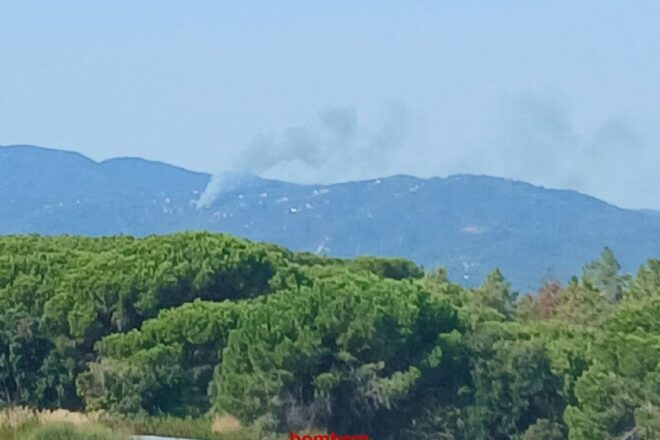 Controlat l’incendi forestal de Tordera i s’aixeca el confinament de les urbanitzacions de Can Camps i Roca-Rossa