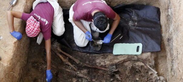 Treballs d'exhumació de la fossa 113 del cementeri de Paterna