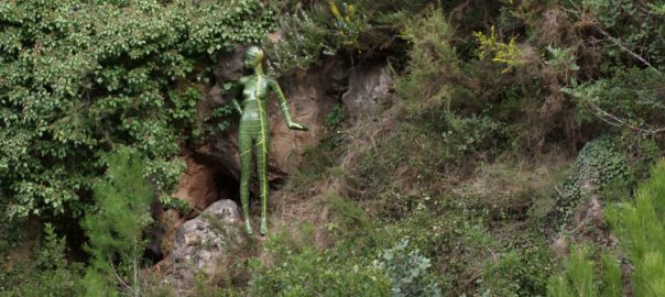 Biodivers Carrícola és un dels espais seleccionats per a les visites guiades amb intèrpret de llengua de signes