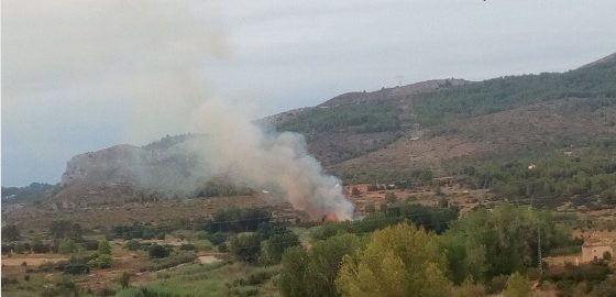 Fotografia: ACIF Vall d'Albaida