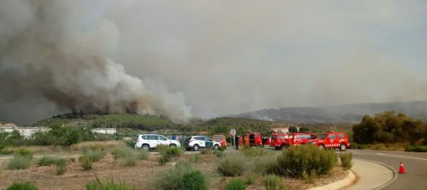 Fotografia: Diputació de València