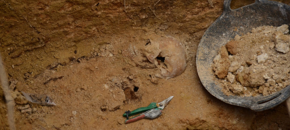 Restes trobades a la fossa 114 (Fotografia: Prats i Camps)