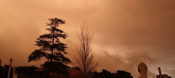 Fotografia: @MNievesSanchez1