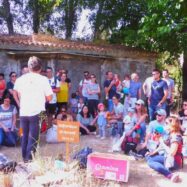 L’Arrel ha plantat 169 plançons en la campanya de reforestacions que acaba de tancar